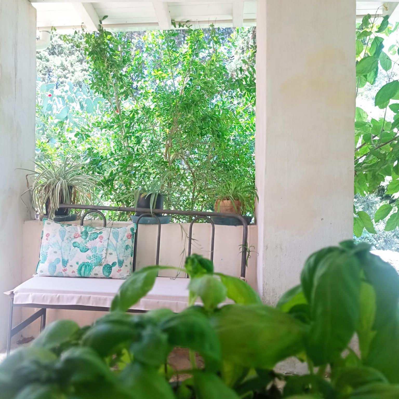 Masseria Delle Rose 1760 Alessano Room photo